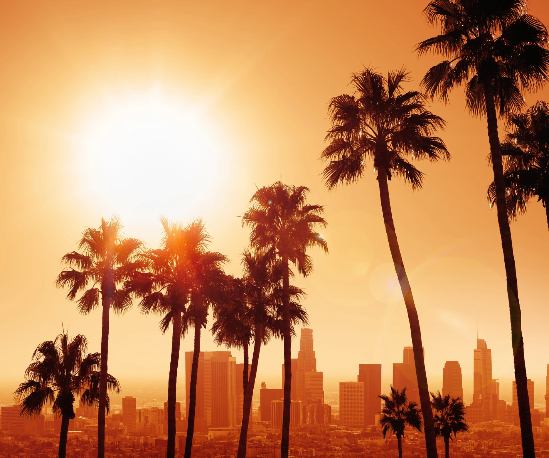 Sunset over city skyline with palm trees.