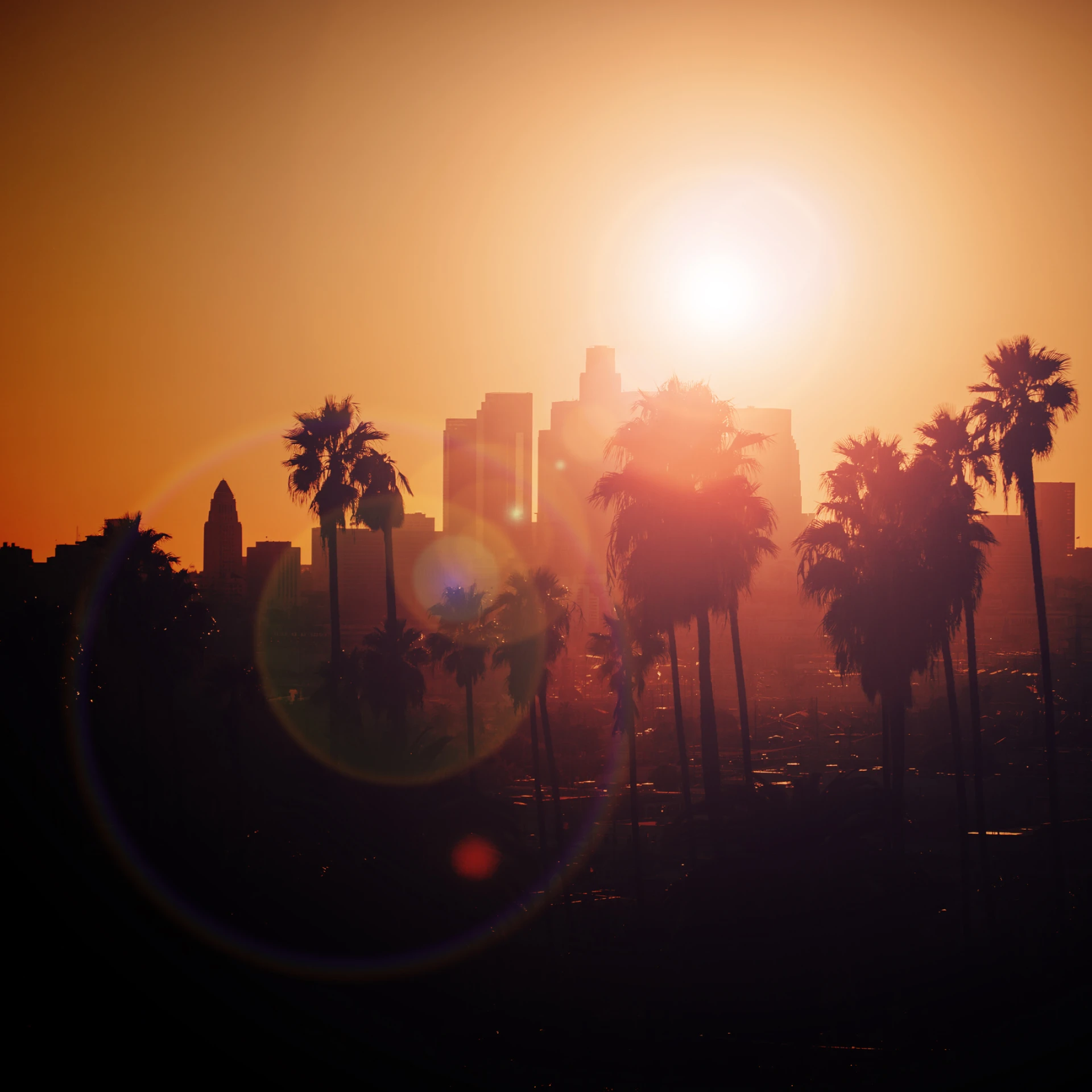 Sunset over cityscape with palm trees.
